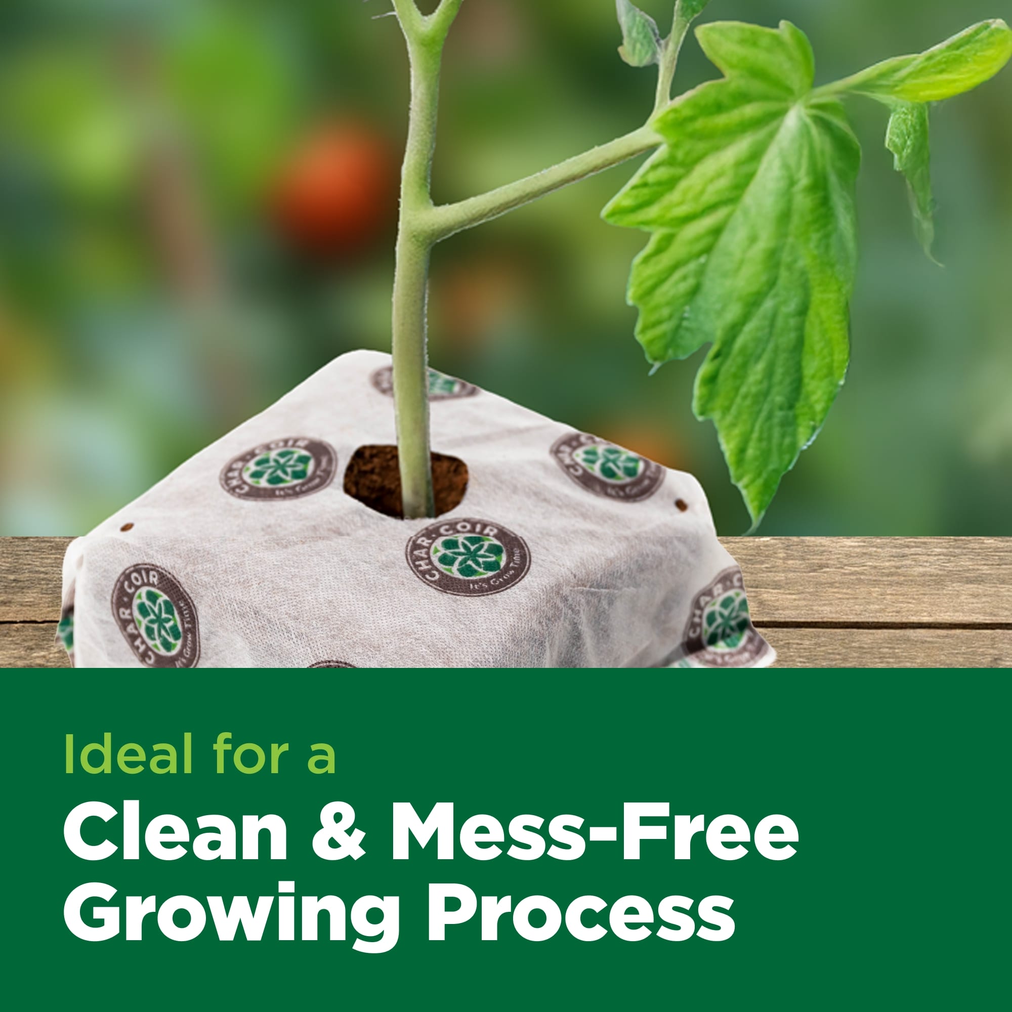 Seedling in a biodegradable pot with text 'Ideal for a Clean & Mess-Free Growing Process' on a blurred garden background.