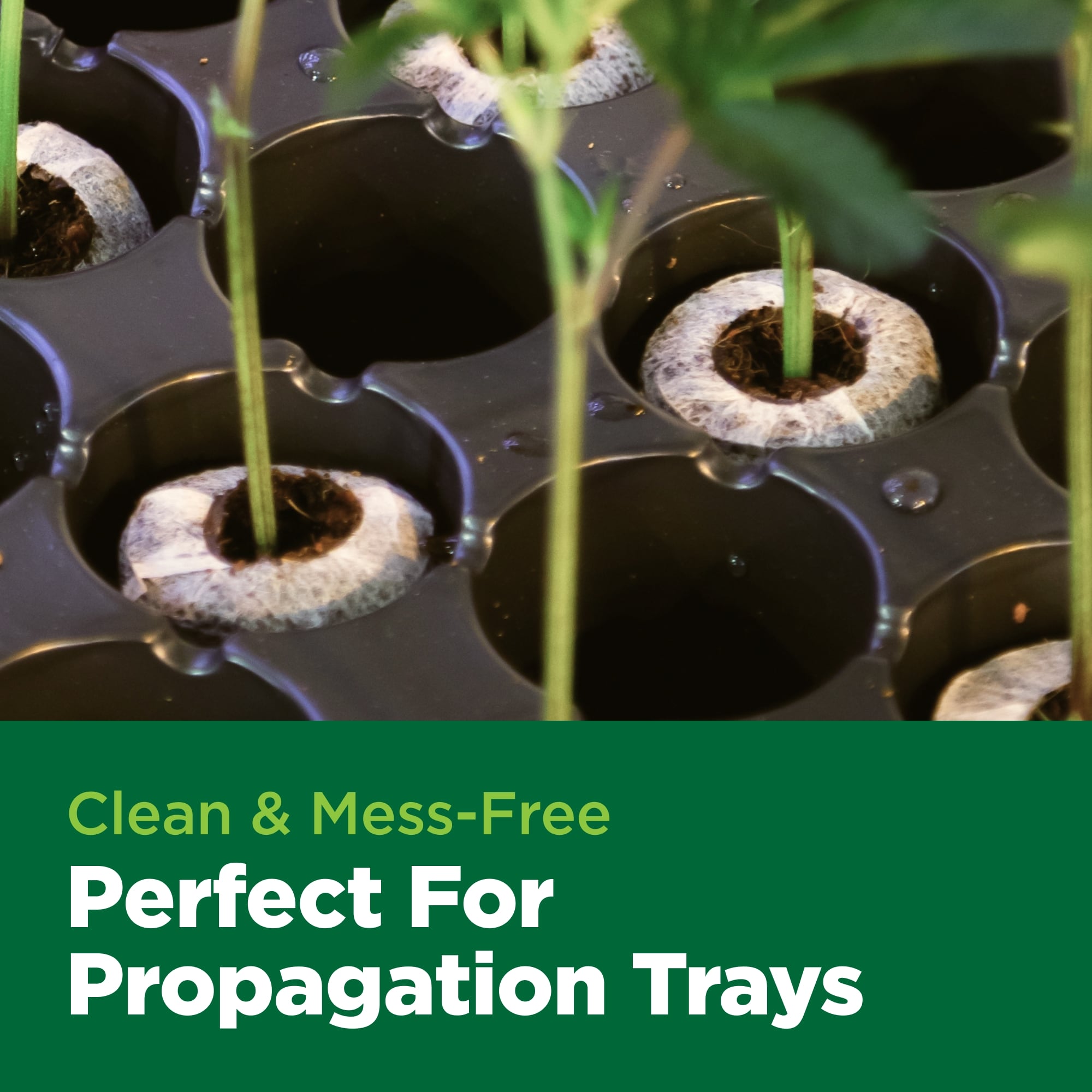 Propagation trays with small plants and text highlighting benefits