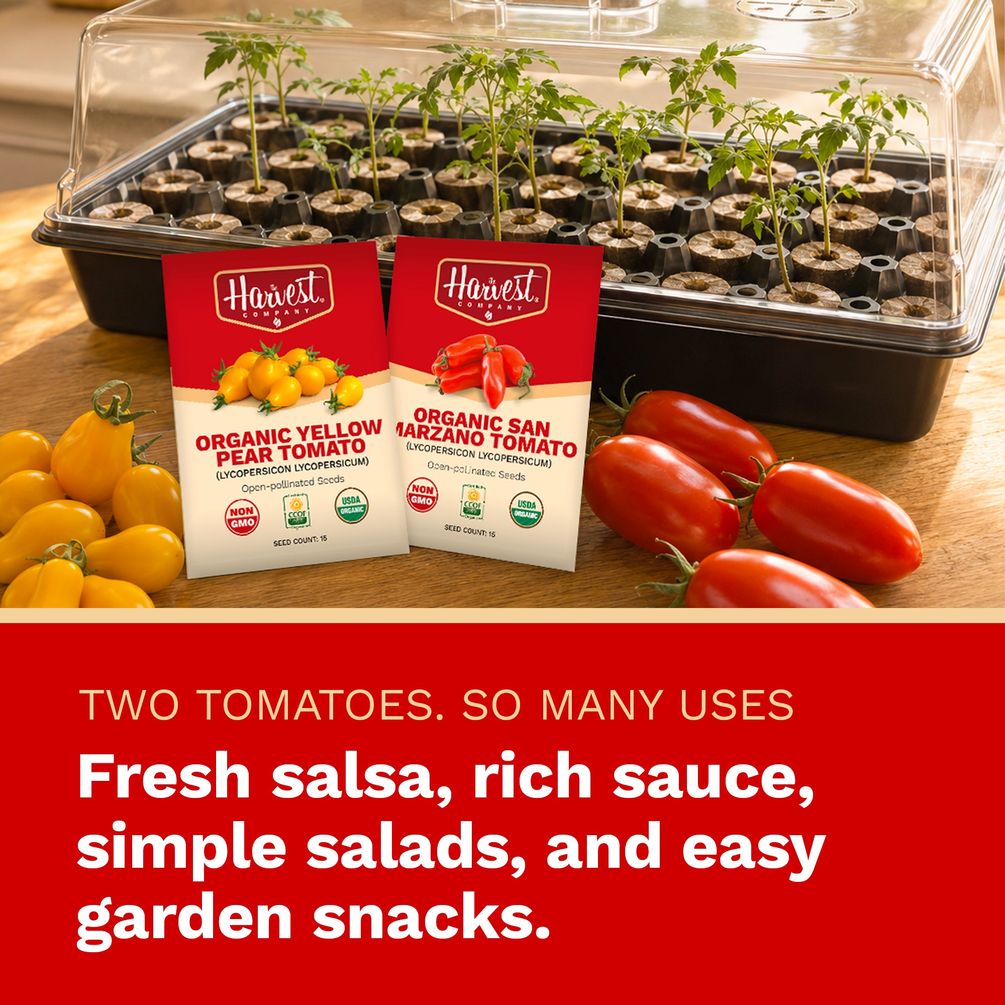 The Harvest Company Tomato Garden Seed Starting Kit | Organic Tomato Seeds with Humidity Dome, Heavy-Duty Tray & Char Coir Coco Coin Insert