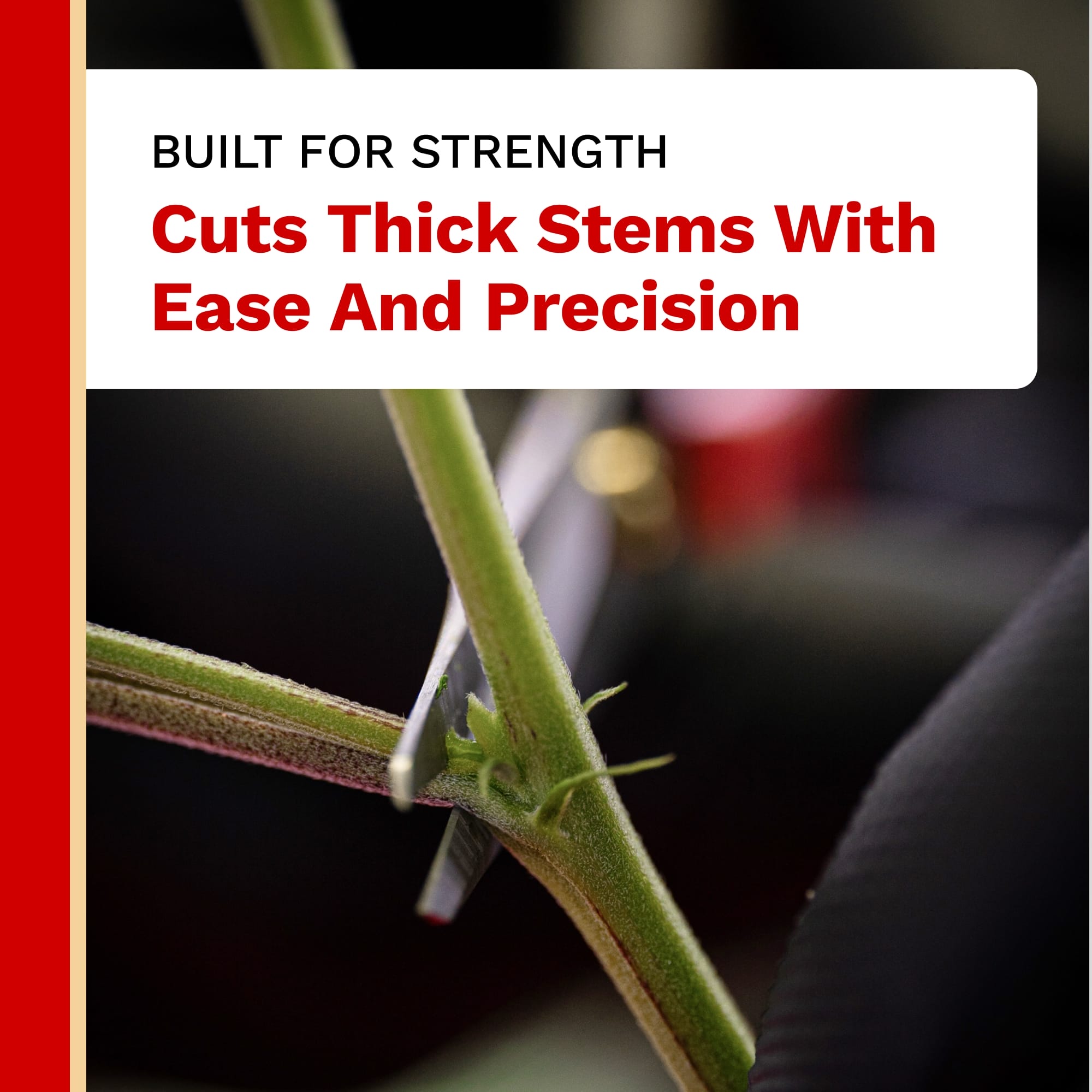 Cutter cutting a thick stem with text 'Built for Strength, Cuts Thick Stems With Ease And Precision' on a white background.