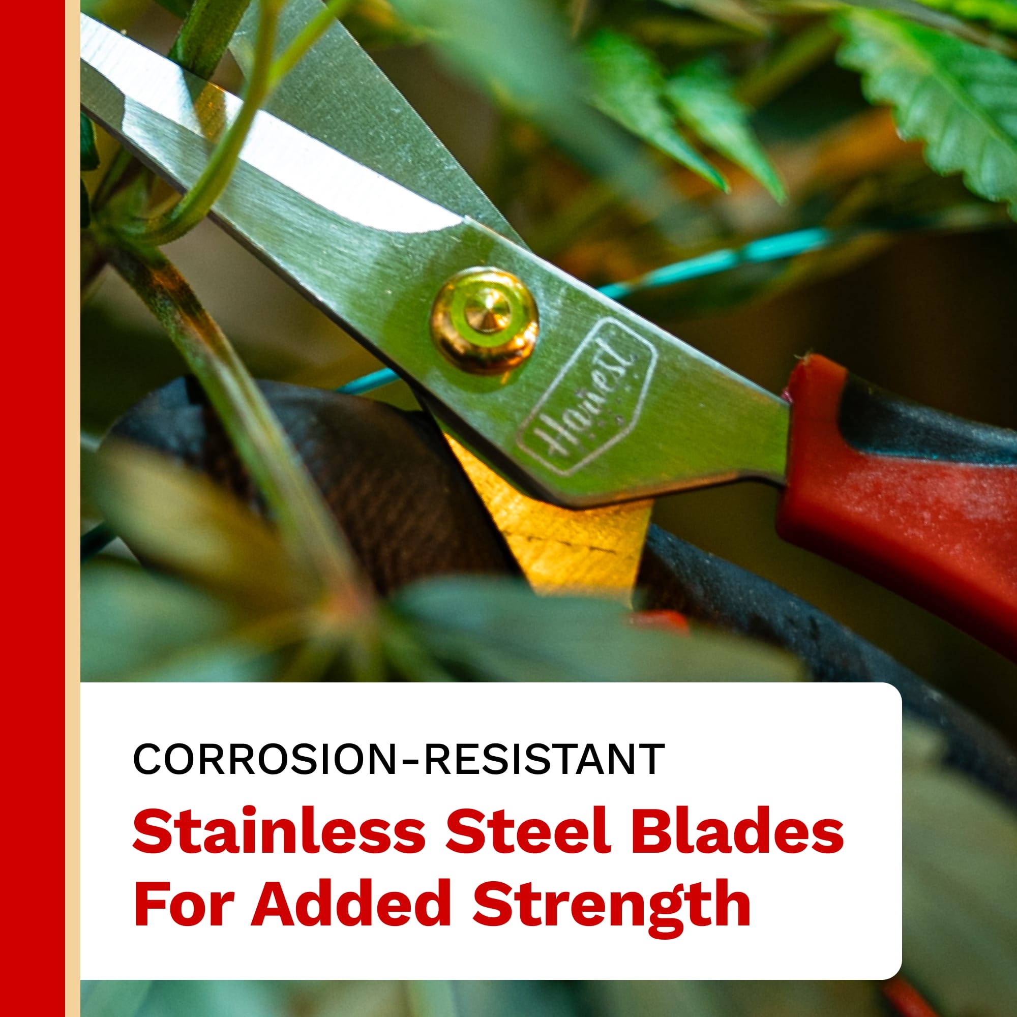The Harvest Company 5 in. x 0.47 in. Stainless Steel Multi-Purpose Scissor with Comfortable Grips