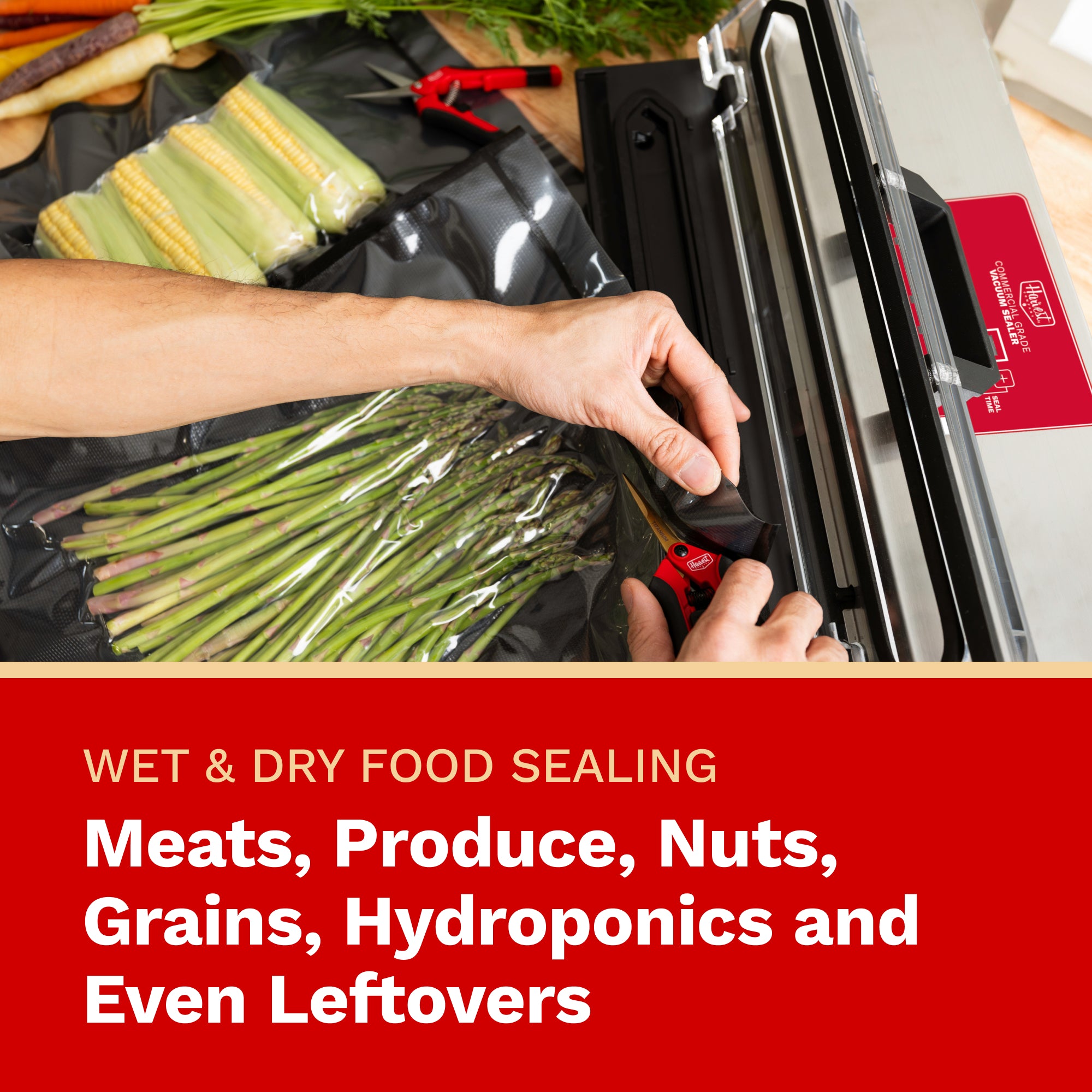 Person using a vacuum sealer with text about food sealing capabilities.