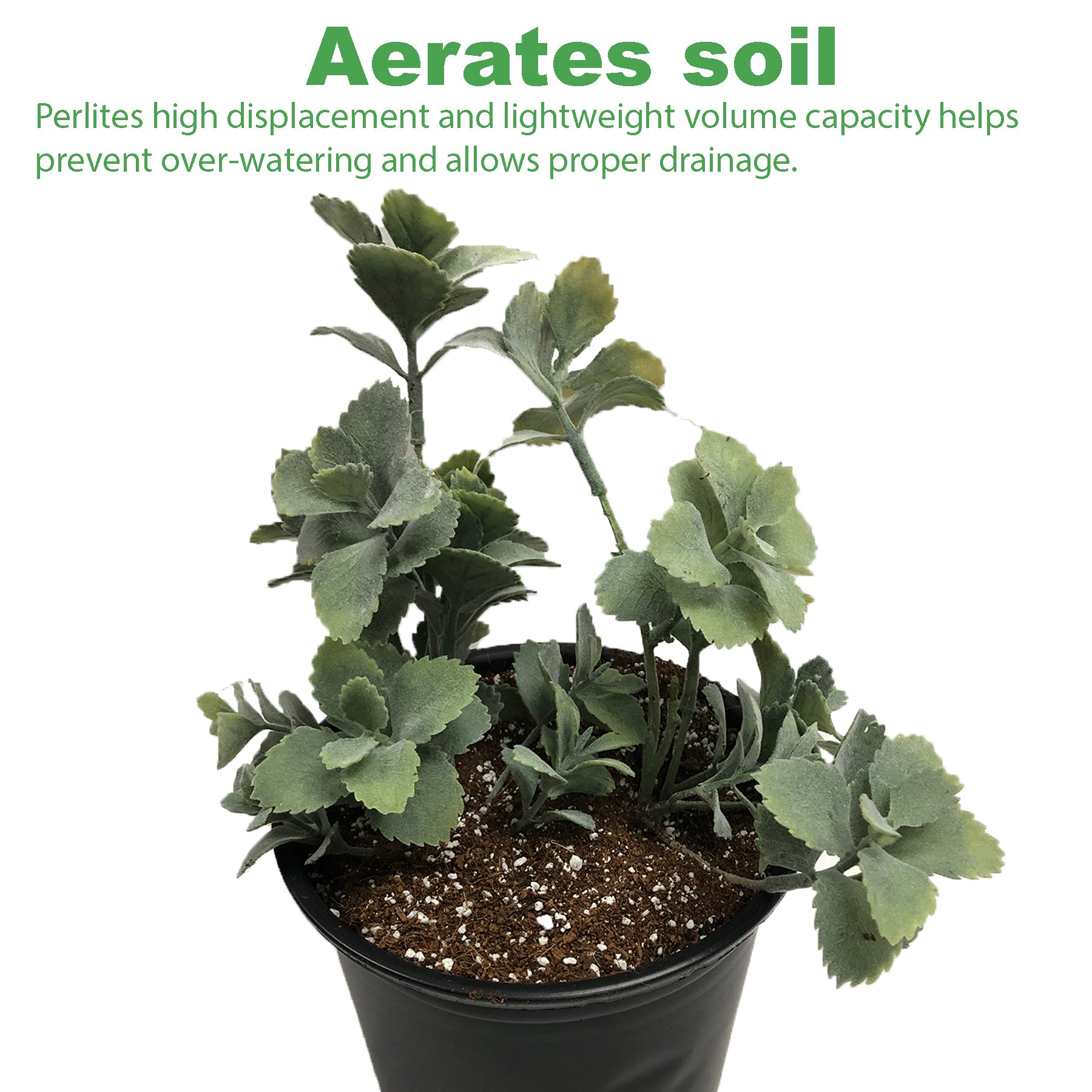 Viagrow  128 cu. ft. Horticultural Perlite Natural Soil Amendment