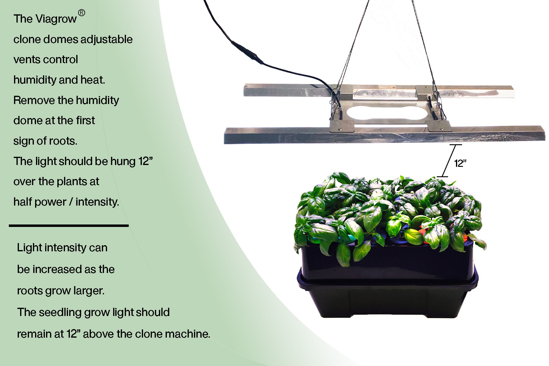 Viagrow Clone Machine 24-Site Plastic Aeroponic Hydroponic System 