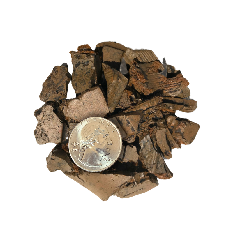 Mineral sample with a coin for scale on a white background