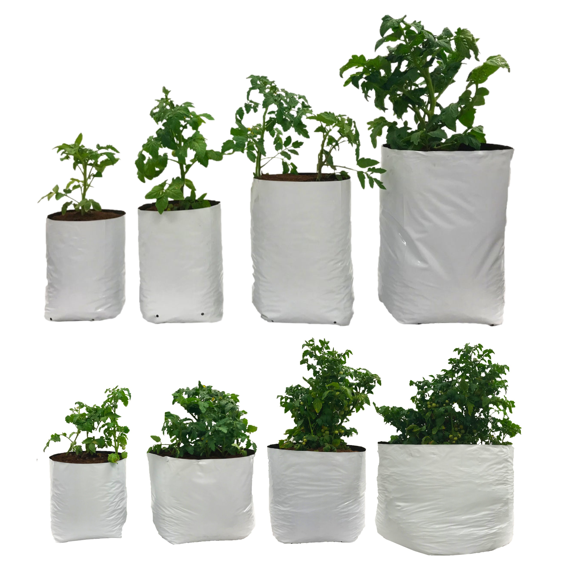 A collection of Viagrow plastic grow bags in various sizes, filled with plants, showcasing the versatility and use of the bags.