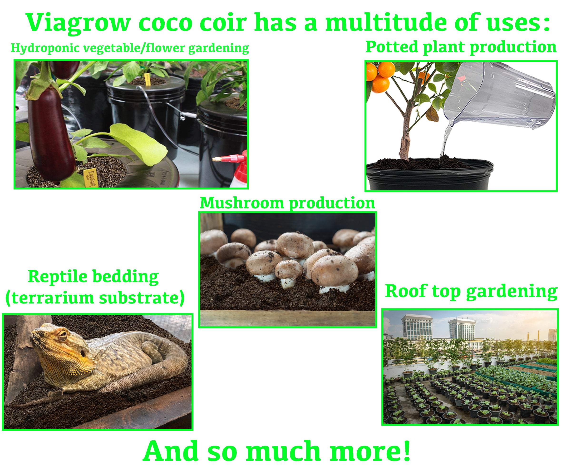 Viagrow Plastic Nursery Pot plus 5 kg (11 lb.) Coconut Coir Brick Grow Media