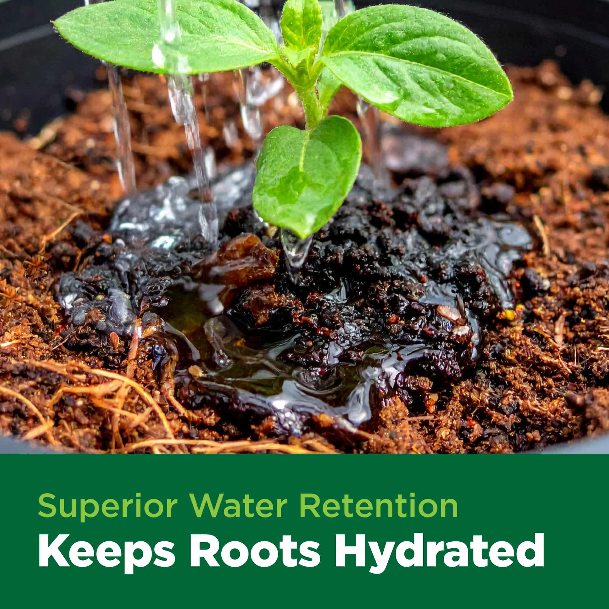 Plants being watered with text 'Superior Water Retention Keeps Roots Hydrated' on a green background