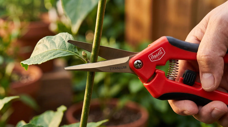 Cut just above a node