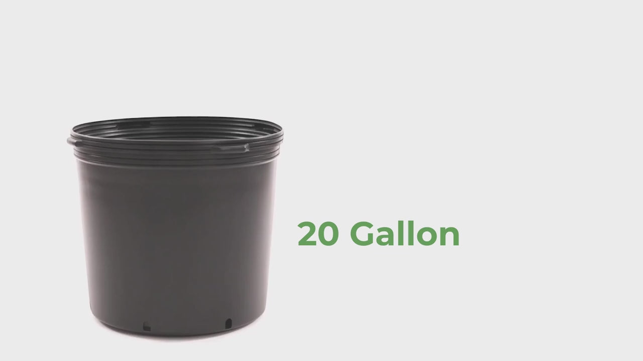 Viagrow 5 gal. 12 in. L x 9.5 in. W x 11.63 in. H Black Indoor/Outdoor Plastic Nursery Pot