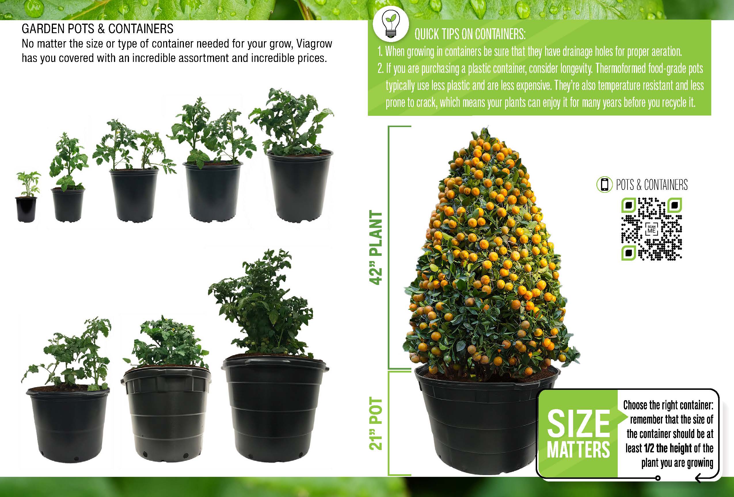growers guide