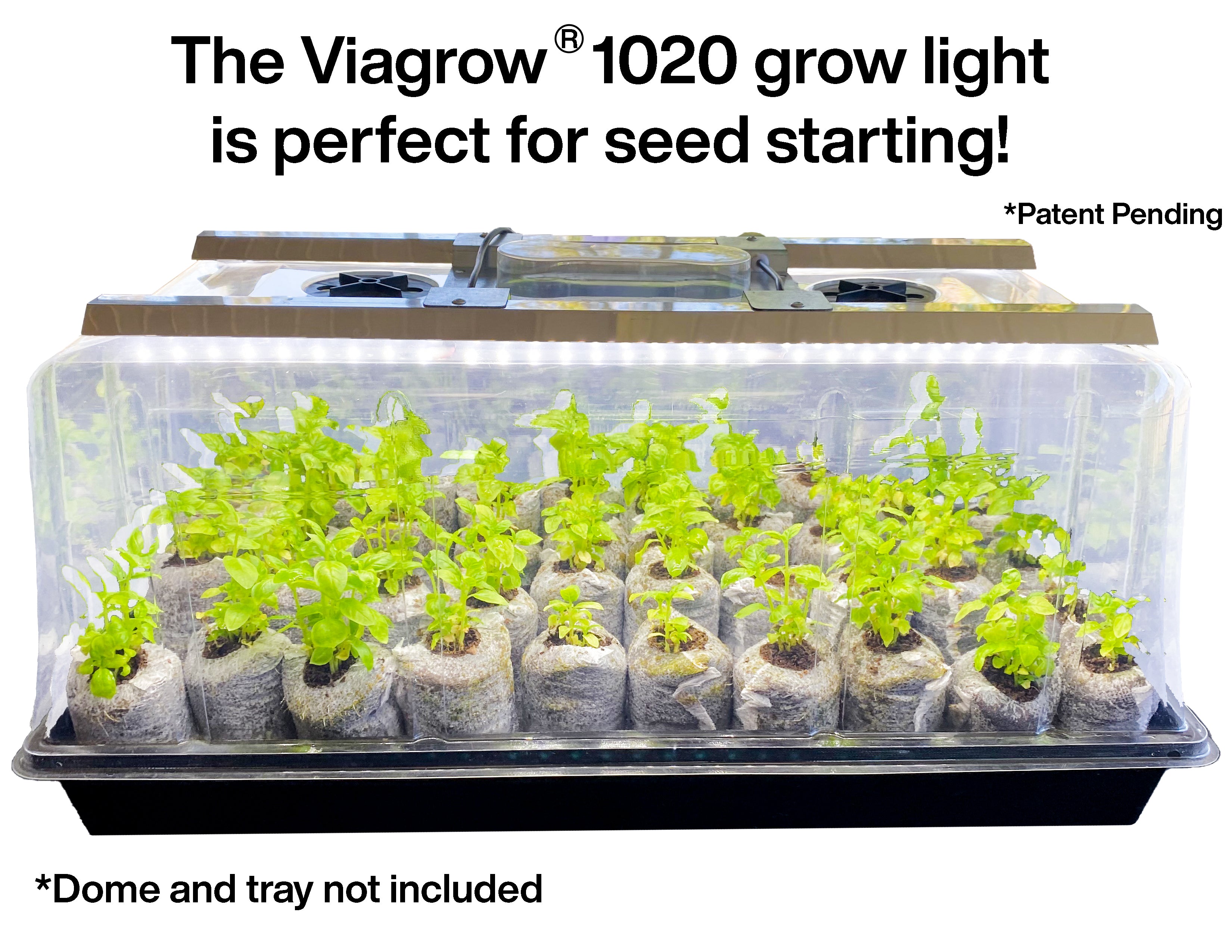 The Harvest Company 1020 Seedling Station LED, Full-Spectrum Grow Light for Germinating Seeds (Case of 12)