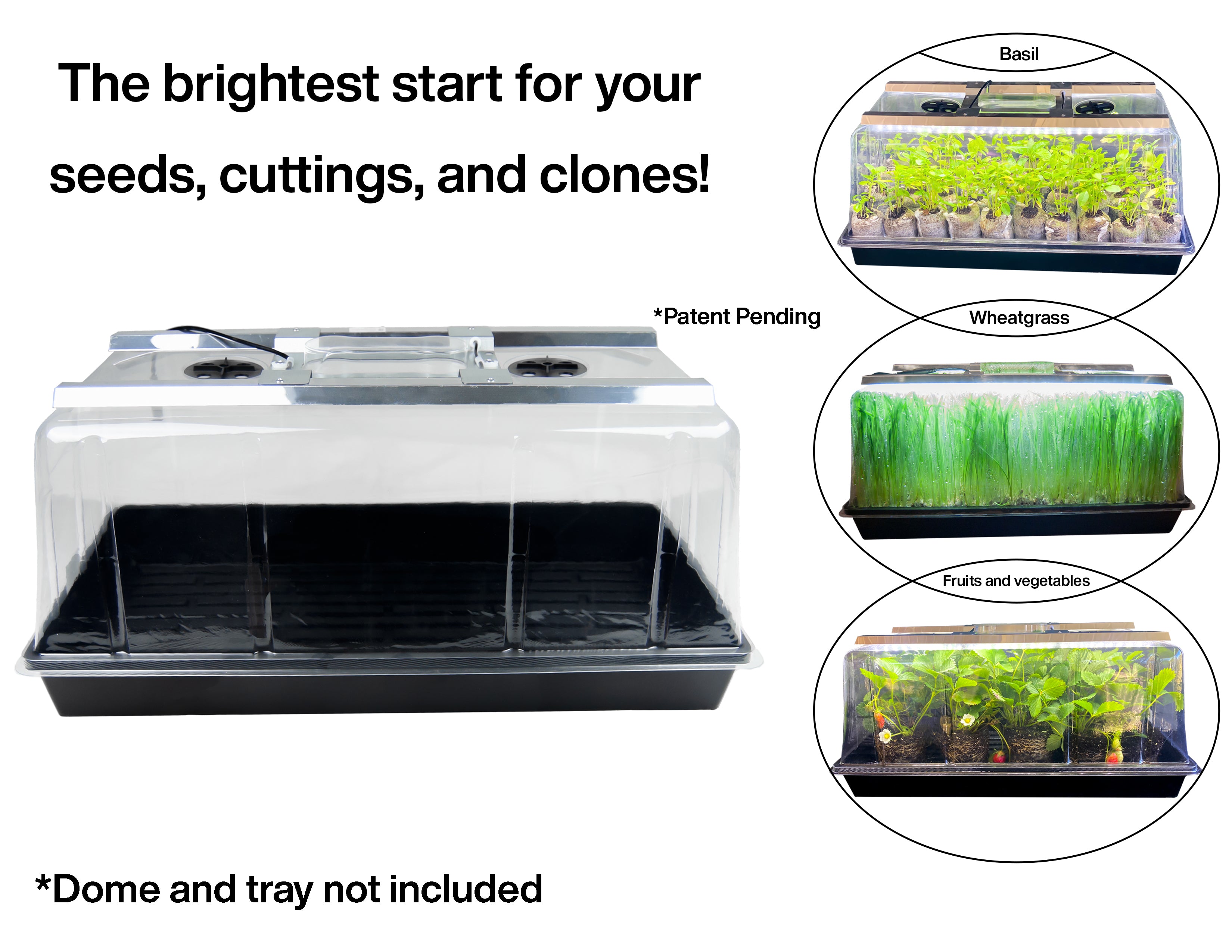 The Harvest Company 1020 Seedling Station LED, Full-Spectrum Grow Light for Germinating Seeds (Case of 12)