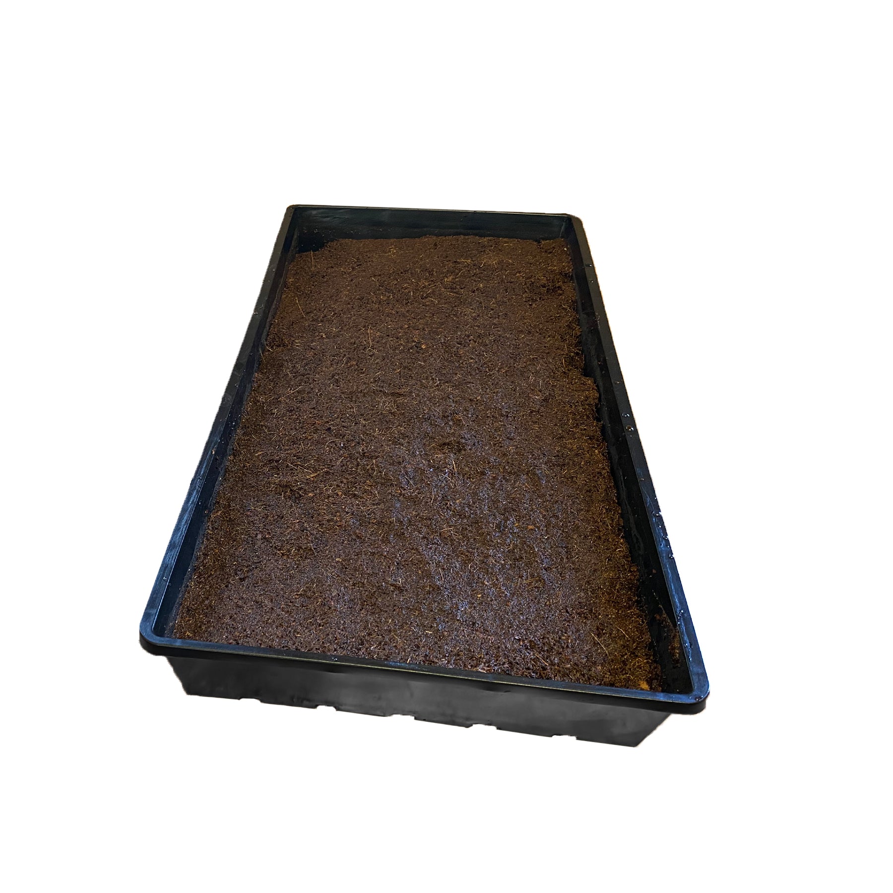 The Harvest Company 10 in. x 20 in. Black Plastic Extra-Strength Quad Seed Starter Plant Support Planter Accessory 100-Case (V726298-100)