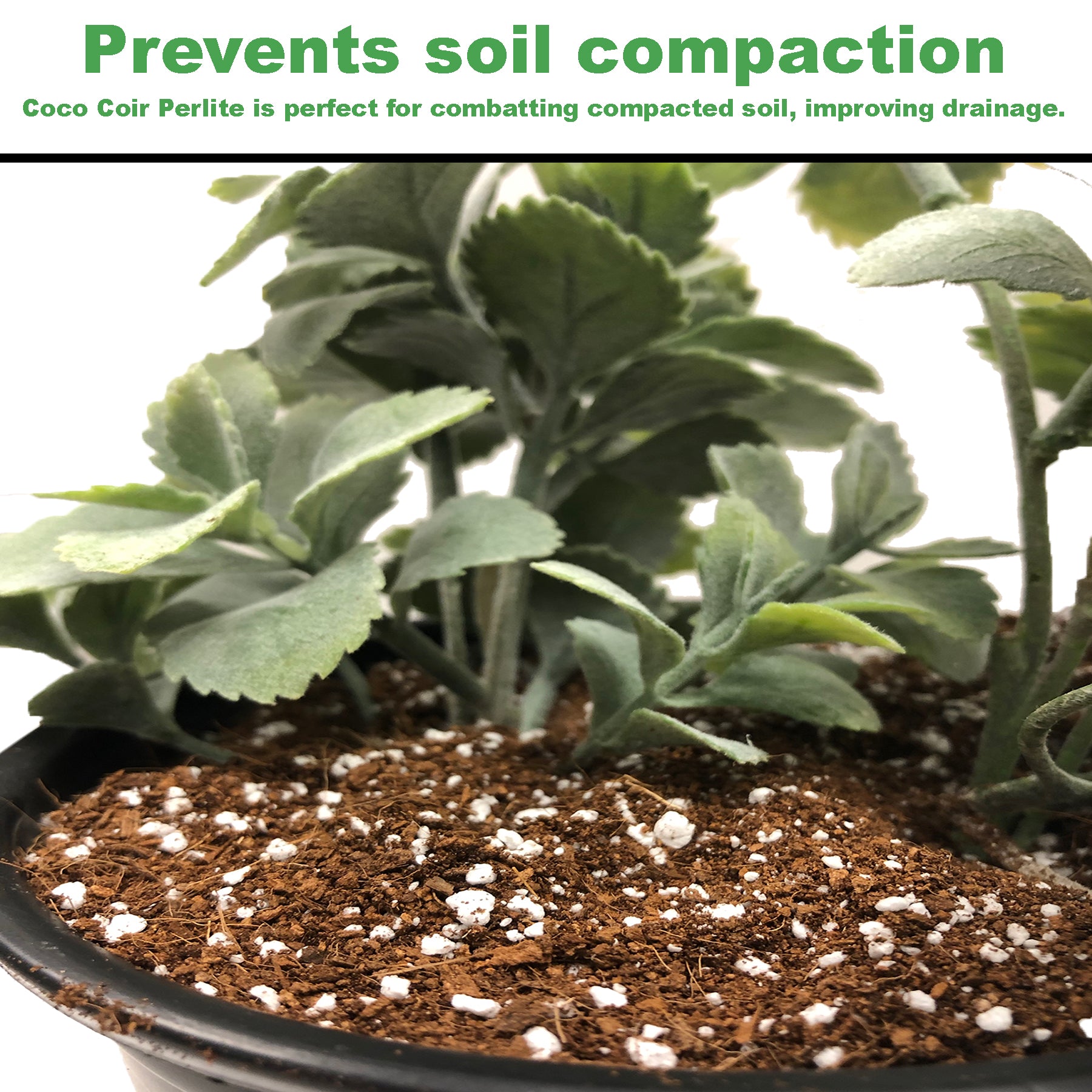 The Harvest Company 1.7 cu. ft. (50L) Coco Coir Plus Perlite Premium Grow Media (70% Coir and 30% Perlite) 72-Pallet