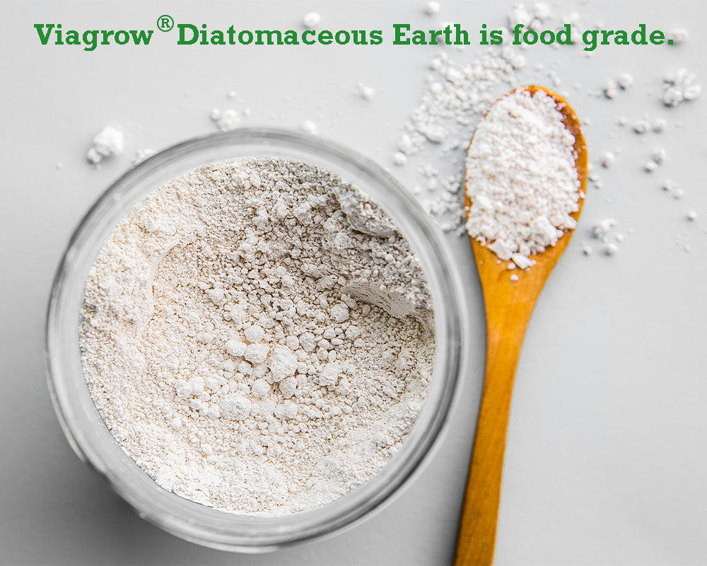 The Harvest Company 6 lb. Food Grade Diatomaceous Earth Natural Soil Amendment and Household Deodorizer