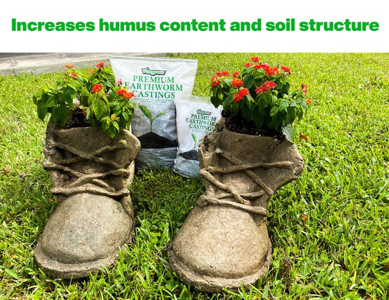 Viagrow 1 lb. Organic Premium Earthworm Castings Natural Soil Builder and Soil Amendment (Packs)