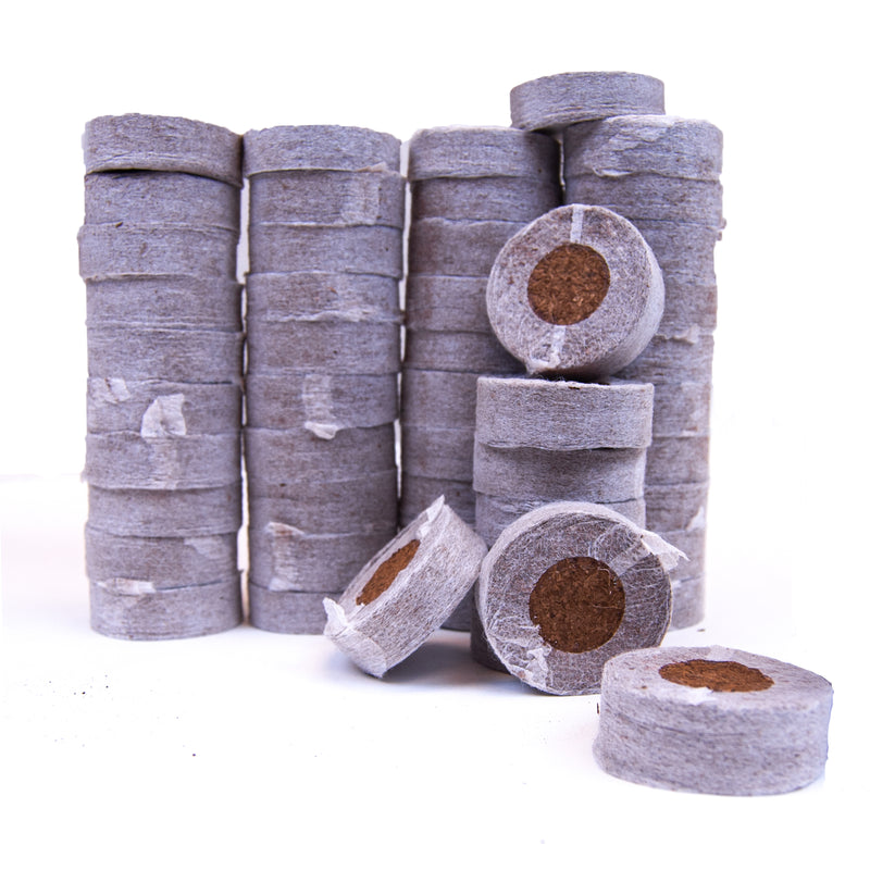 Stacks of gray coco coir seed starter plugs, with some plugs showing a central hole where a seed or clone was placed.