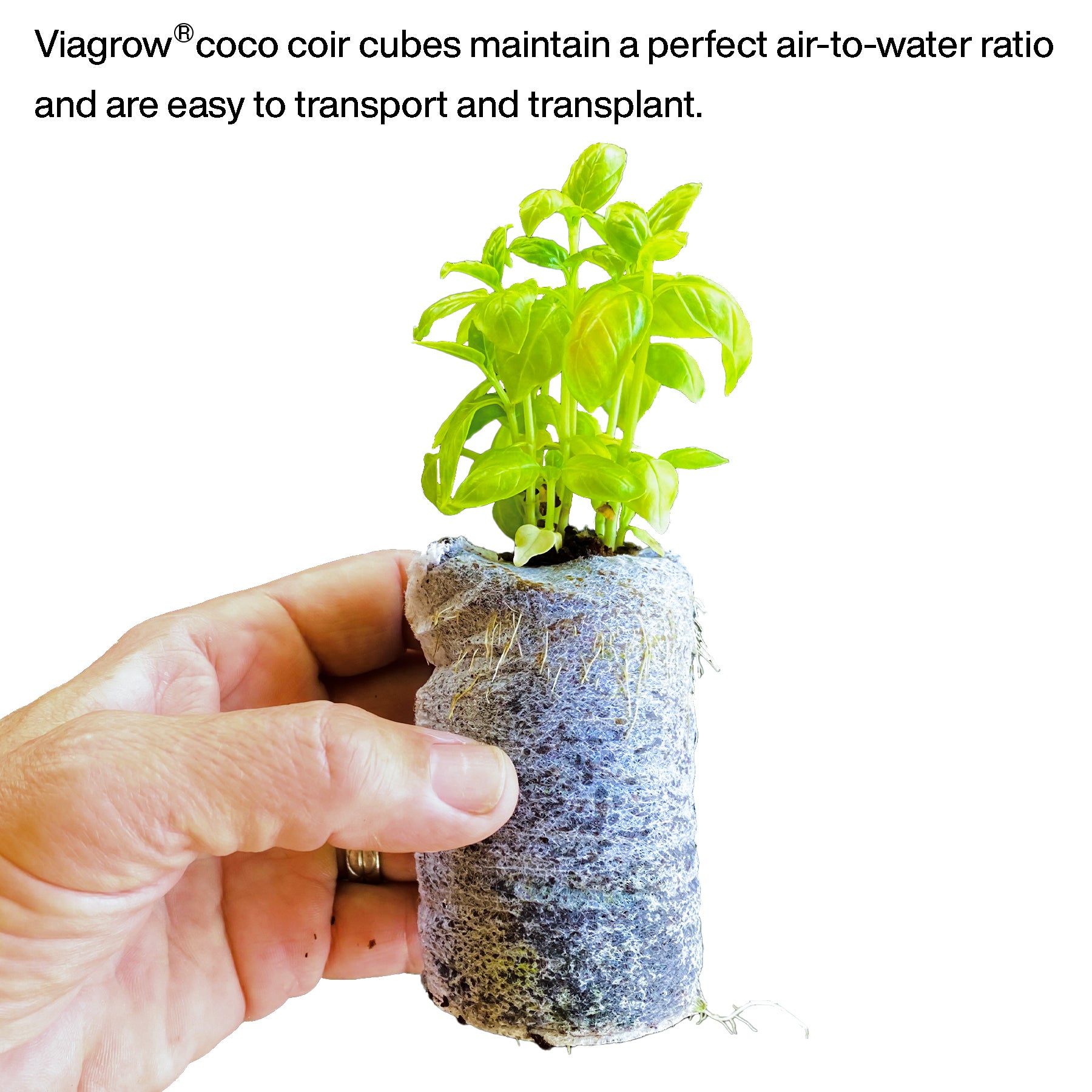 Viagrow 50pc Coco Coir Seed Starter Plugs