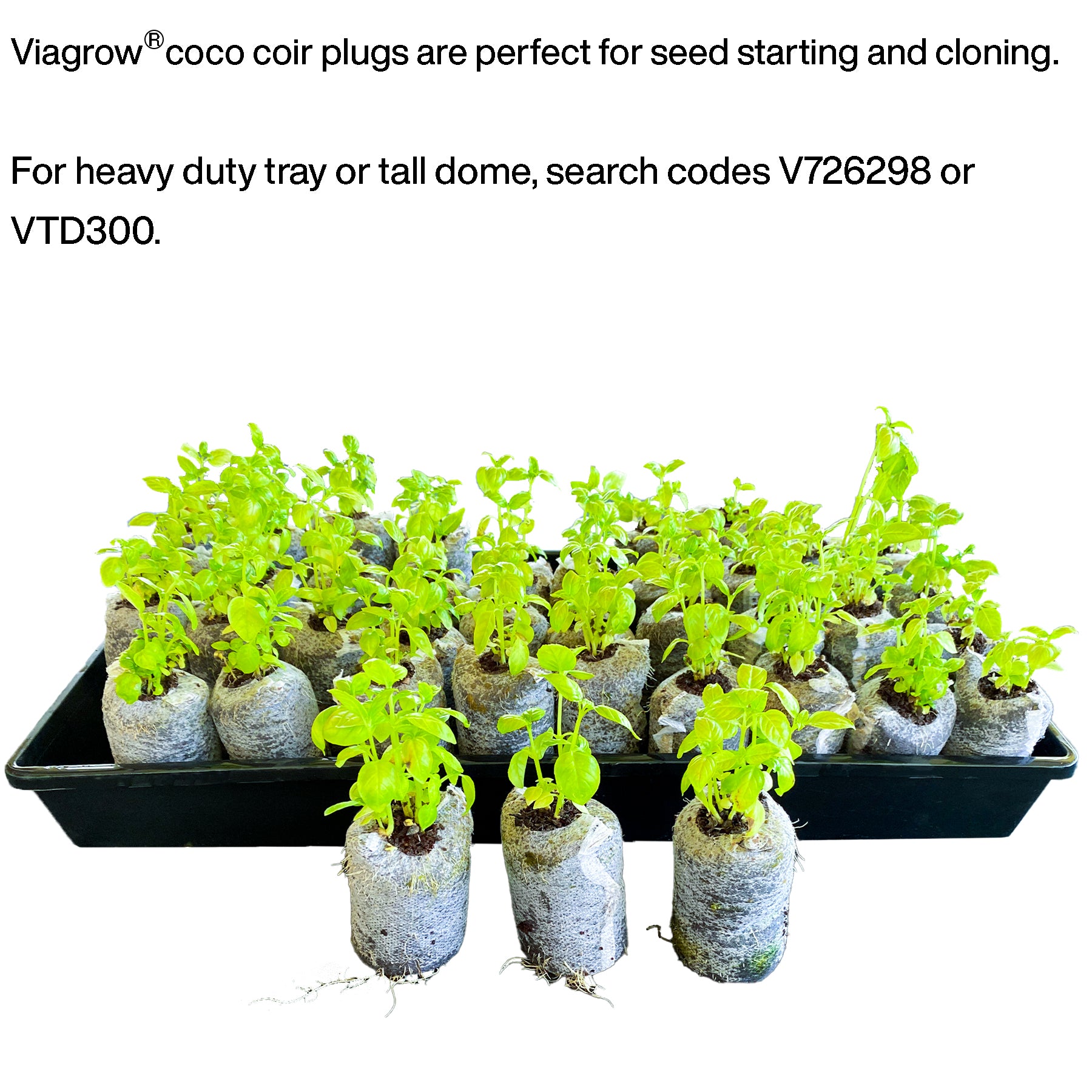 Viagrow 50pc Coco Coir Seed Starter Plugs