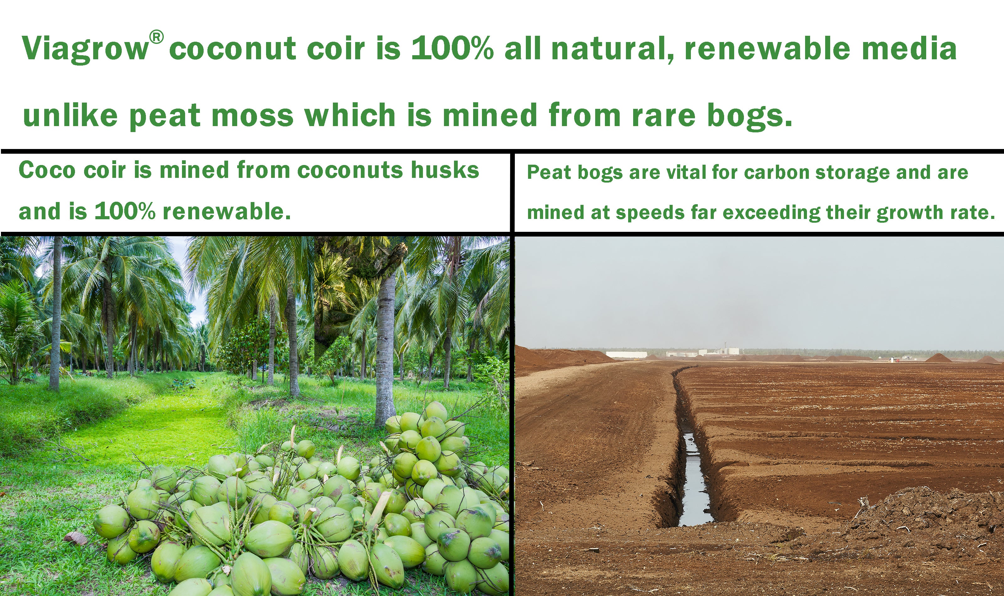 Viagrow 5 kg (11 lb.) Buffered Compressed Coconut Coir Premium Grow Media 