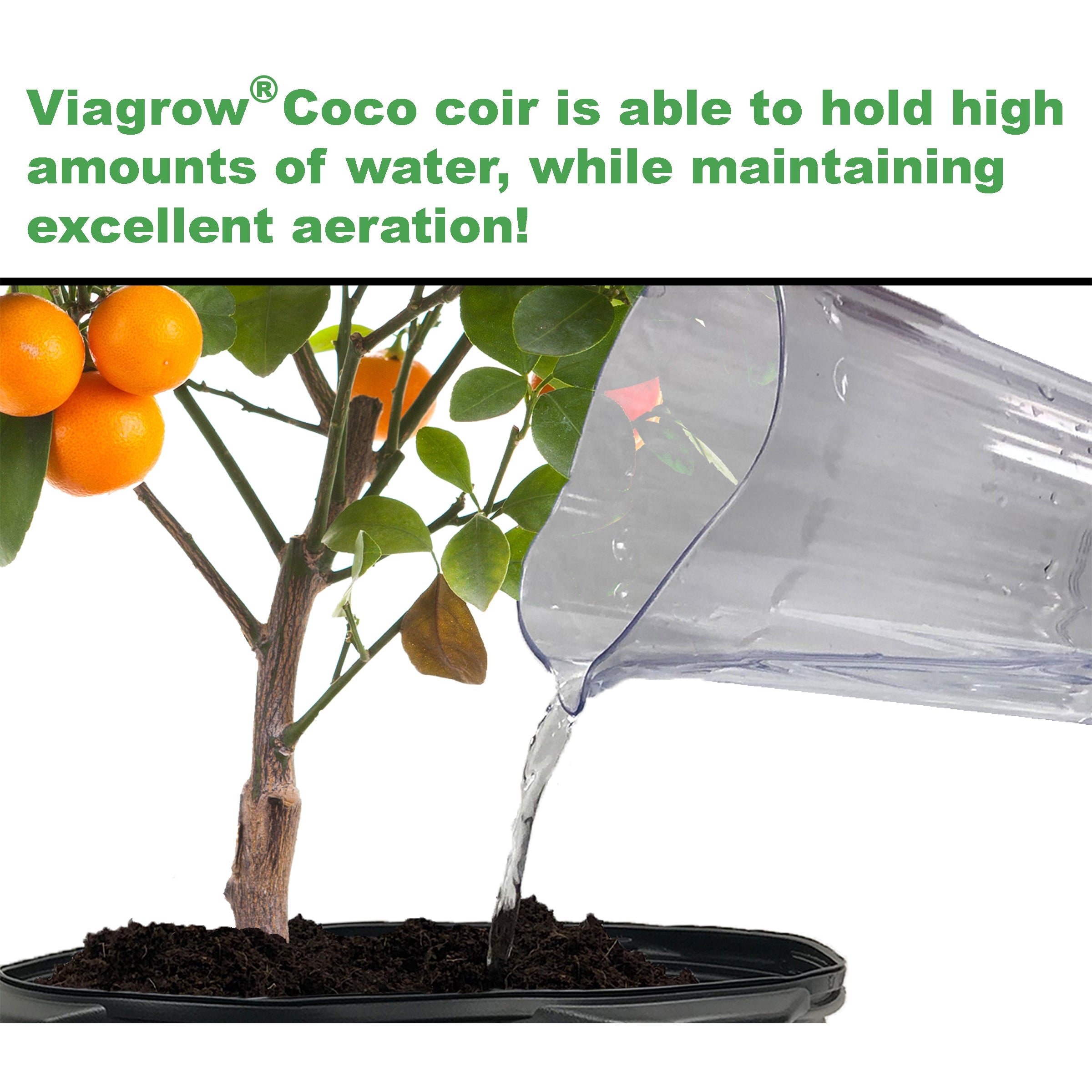 Viagrow 5 kg (11 lb.) Buffered Compressed Coconut Coir Premium Grow Media 