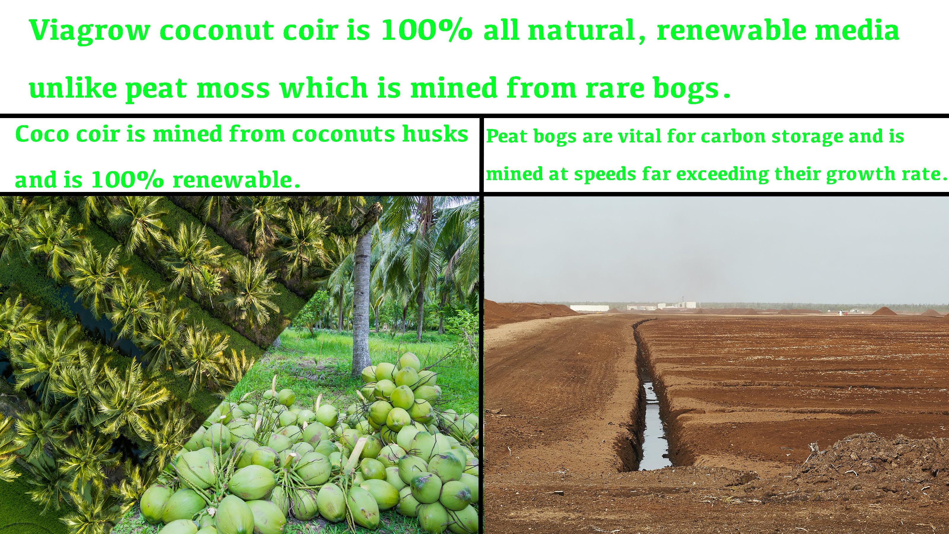 Viagrow 650 g (1.4 lb.) Compressed Coconut Coir Premium Grow Media