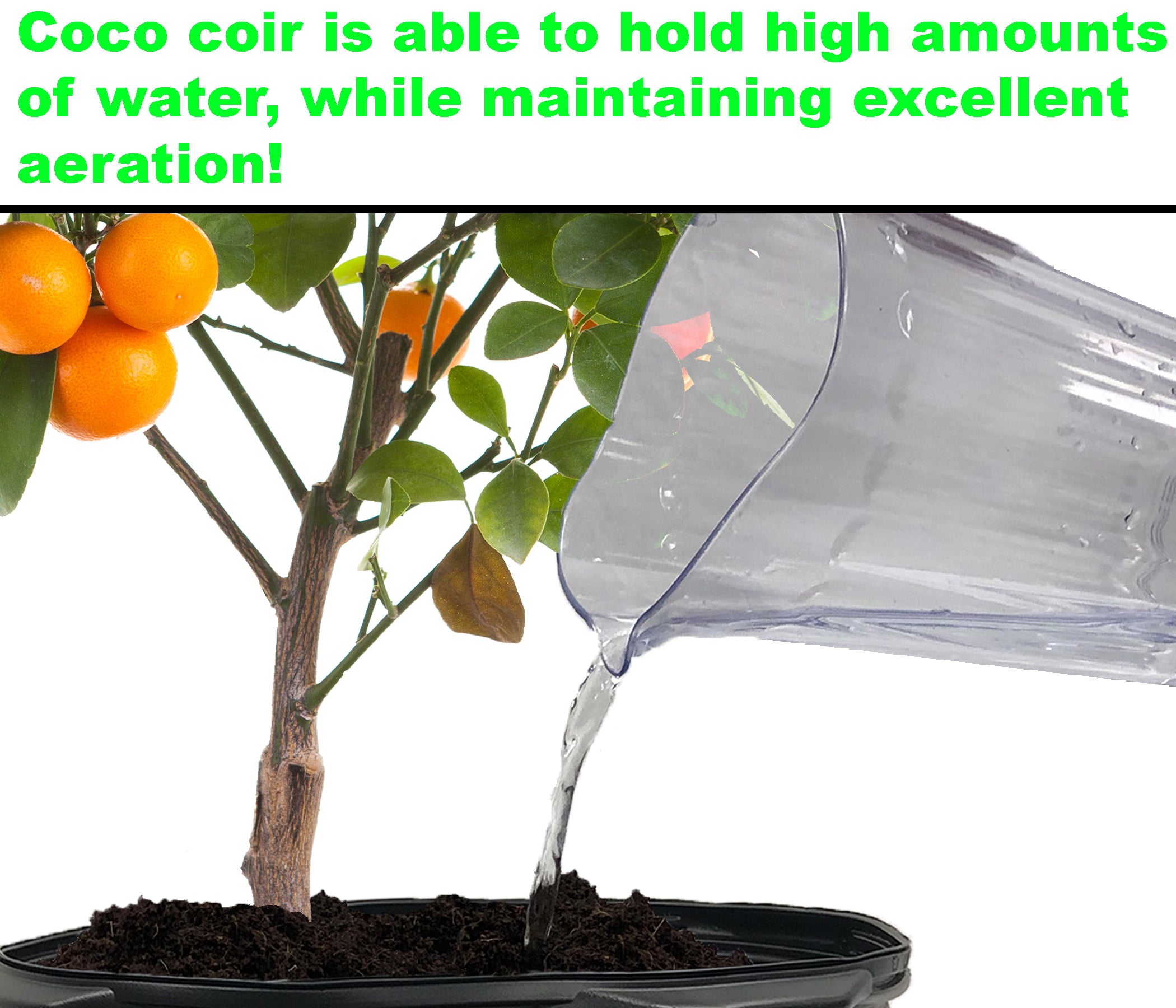 Viagrow 650 g (1.4 lb.) Compressed Coconut Coir Premium Grow Media