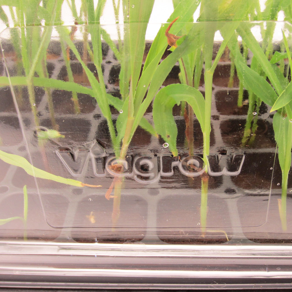 Viagrow 7" Clear Humidity, Propagation Plastic Tall Dome 
