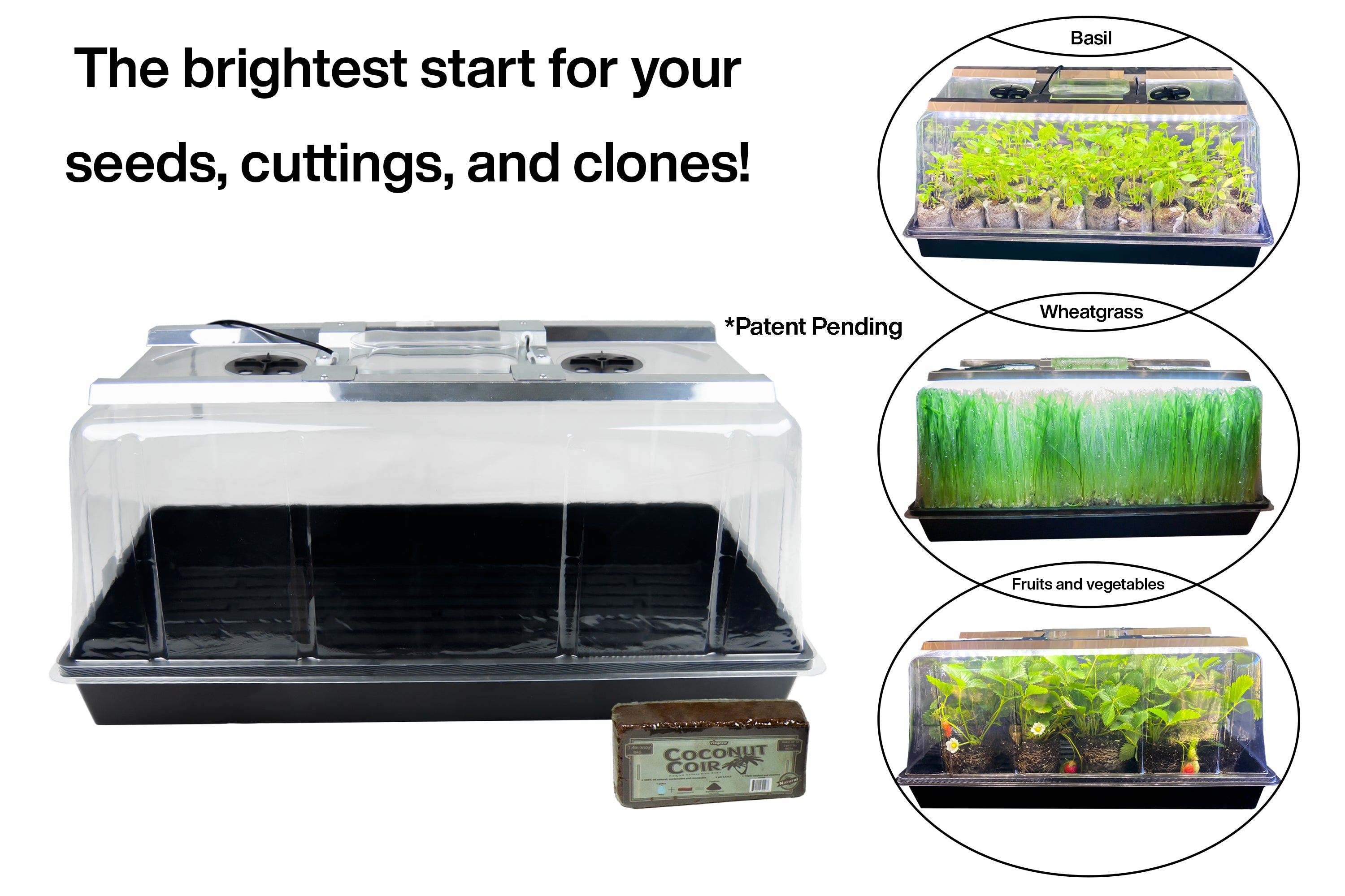 Viagrow Seedling Station Kit