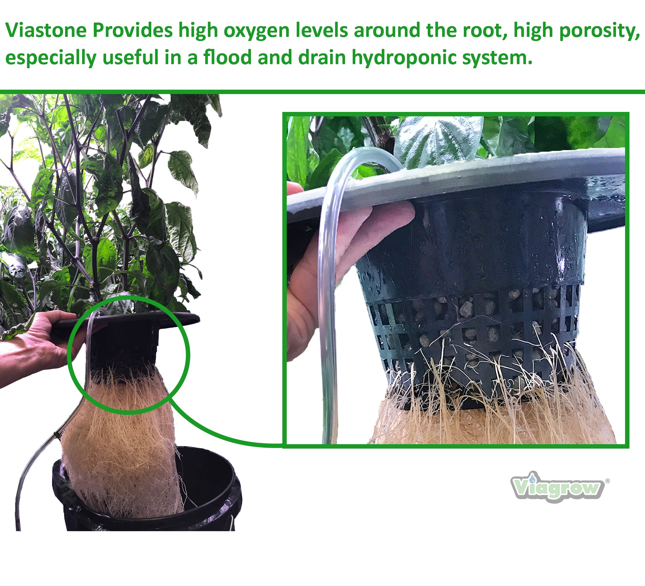 Viastone 2L Expanded Clay Pebbles Round Grow Rocks Hydroponic Growing Medium